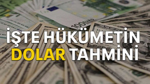 İşte hükümetin dolar tahmini