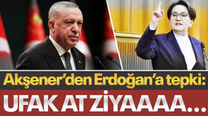 Meral Akşener’den Erdoğan’a tepki: Ufak at Ziyaaaa...