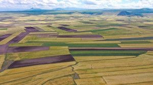 Başiskele’de sanayi arsası ihaleye çıkarılacak