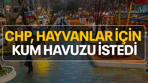 CHP'den Cumhuriyet Bulvarı'na hayvanlar için kum havuzu talebi
