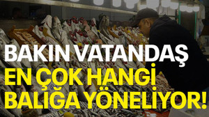 Bakın vatandaş en çok hangi balığa yöneliyor