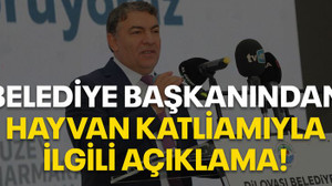 Belediye başkanından hayvan katliamıyla ilgili açıklama