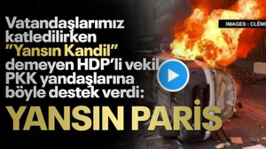 HDP'li vekilden Paris'i yakan PKK yandaşlarına, skandal destek!
