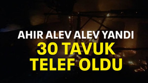 Ahır alev alev yandı:30 tavuk telef oldu