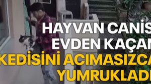 Hayvan canisi evden kaçan kedisini acımasızca yumrukladı!
