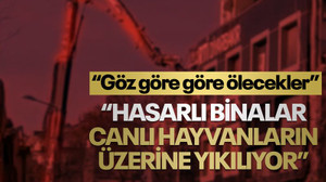 “Hasarlı binalar canlı hayvanların üzerine yıkılıyor”