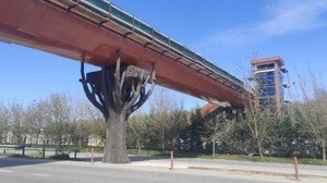 Ormanya yaya üstgeçidinde sona doğru