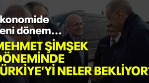 Ekonomide yeni dönem... Mehmet Şimşek döneminde Türkiye'yi neler bekliyor?