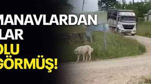 Oyu Manavlardan alanlar bir yolu çok görmüş!