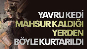 Yavru kedi mahsur kaldığı yerden böyle kurtarıldı