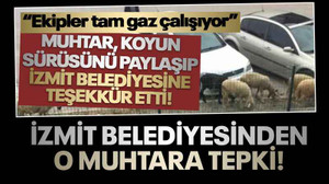 İzmit Belediyesinden muhtarın koyunlu paylaşımına tepki!