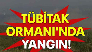 TÜBİTAK Ormanı'nda yangın!