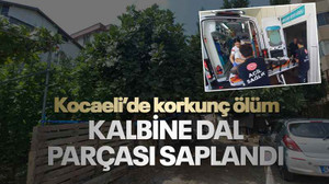 Kocaeli'de korkunç ölüm... Ağaçtan düştü, kalbine dal parçası saplandı