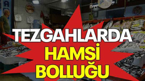 Tezgahlarda hamsi bolluğu!