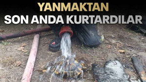 Yanmaktan son anda kurtardılar
