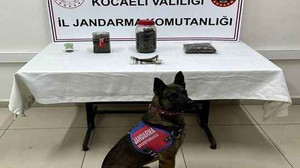 Durdurulan araçtan 11 tabanca çıktı