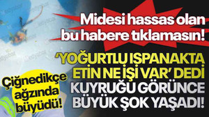 Midesi hassas olan bu habere tıklamasın! Çiğnedikçe ağzında büyüdü! ‘Yoğurtlu ıspanakta etin ne işi var’ dedi kuyruğu görünce büyük şok yaşadı!
