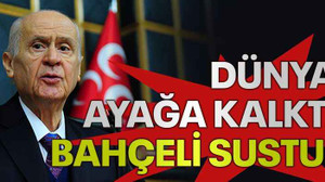 Dünya ayağa kalktı, Bahçeli sustu!