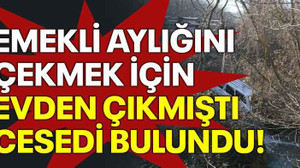Emekli aylığını çekmek için evden çıkmıştı cesedi bulundu!