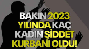 Bakın 2023 yılında kaç kadın şiddet kurbanı oldu!