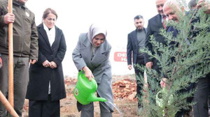 Bakan Göktaş deprem şehitleri adına fidan dikti