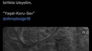 Fotokapanlara yansıyan yaban hayvanları izleyenleri mest etti