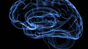 IQ sıralamasında geriye düştük