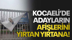 Kocaeli’de adayların afişlerini yırtan yırtana!