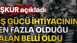 İş gücü ihtiyacının en fazla olduğu alan belli oldu