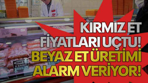 Kırmız et fiyatları uçtu! Beyaz et üretimi alarm veriyor!