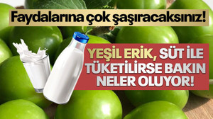 Yeşil eriğin faydalarına çok şaşıracaksınız! Yeşil erik, süt ile tüketilirse bakın neler oluyor!