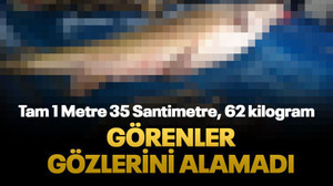 Dev turna balığı ilgi odağı oldu