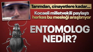 Kocaeli milletvekili paylaştı, herkes bu mesleği araştırıyor: Entomolog nedir? Tarımdan, cinayetlere kadar…