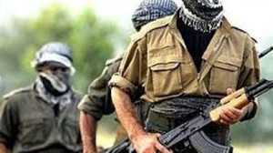 Son bir haftada bakın kaç tane terörist etkisiz hale getirildi!