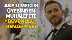 AKP’li meclis üyesinden muhalefete “deve kuşu” benzetmesi