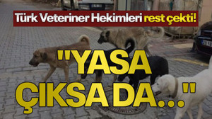 Türk Veteriner Hekimleri rest çekti! "Yasa çıksa da..."