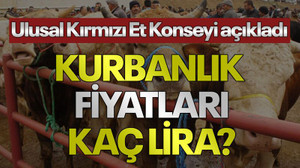 Kurbanlık fiyatları kaç lira? Ulusal Kırmızı Et Konseyi açıkladı