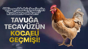 Tavuğa tecavüzün Kocaeli geçmişi! “Bir anlık hislerimin kurbanı oldum”