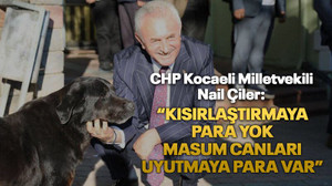 CHP Kocaeli Milletvekili Nail Çiler: “Kısırlaştırmaya para yok masum canları uyutmaya para var”