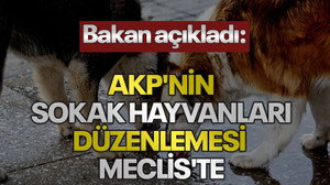 Bakan açıkladı: AKP'nin sokak hayvanları düzenlemesi Meclis'te
