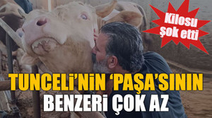 Tunceli’nin ‘Paşa’sının benzeri çok az, kilosu şok etti
