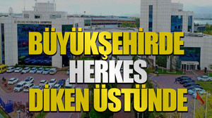 Büyükşehirde herkes diken üstünde