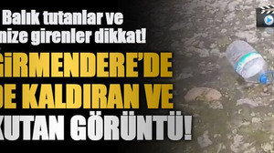 Balık tutanlar ve denize girenler dikkat! Değirmendere’de mide kaldıran ve korkutan görüntü!