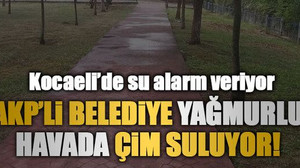 Kocaeli’de su alarm veriyor, AKP’li belediye yağmurlu havada çim suluyor!