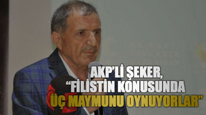 AKP’li Şeker, “Filistin konusunda üç maymunu oynuyorlar”