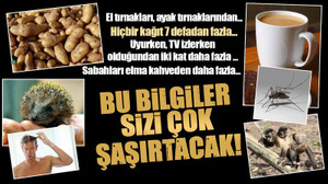 Okudukça şaşıracağınız birbirinden ilginç bilgiler!