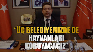 “Üç belediyemizde de hayvanları koruyacağız”