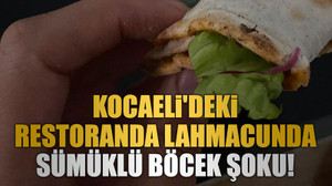 Kocaeli'deki restoranda lahmacunda sümüklü böcek şoku!