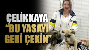 Çelikkaya“Bu yasayı geri çekin”