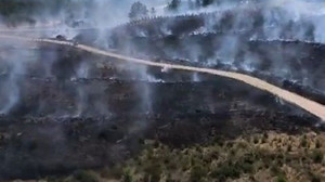 Antalya'da orman yangını!
